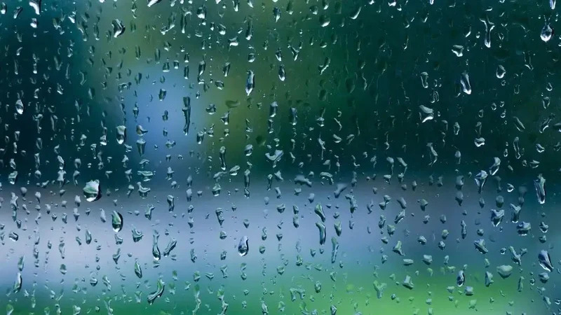 Kiss The Rain-雨的印记