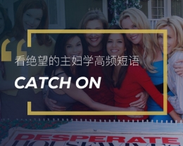 看绝望的主妇学高频段语：Catch on