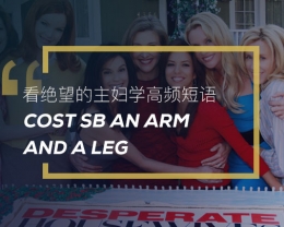 看绝望的主妇学高频段语：Cost sb an arm and a leg