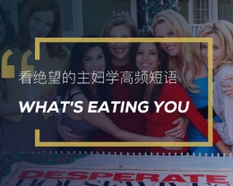 看绝望的主妇学英语俚语：What’s Eating You?