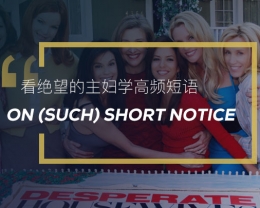 看绝望的主妇学英语习语：On （such） short notice