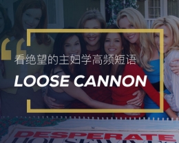 看绝望的主妇学高频短语：Loose cannon