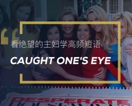 看绝望的主妇学高频短语：Caught one’s eye