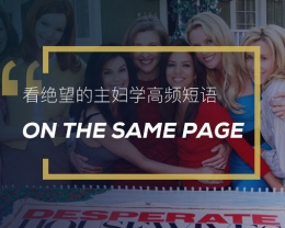 看绝望的主妇学高频短语：On the same page