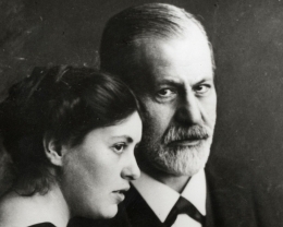 绝望的主妇弗洛伊德理论欧文版学习笔记