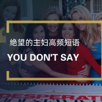 看绝望的主妇学高频短语：You don’t say