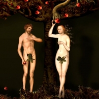 绝望的主妇第一季第七集直播回放-Part01