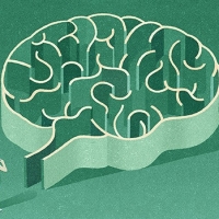 The Beauty of English language