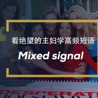 看绝望的主妇学高频短语：Mixed signals