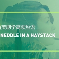 看美剧学高频短语：A neddle in a haystack