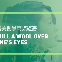 看美剧学实用短语：Pull a wool over one’s eyes