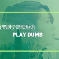 看绝望的主妇学高频短语：Play dumb