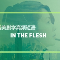 看美剧学英语高频短语：In the flesh
