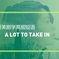 看美剧学高频短语：A lot to take in