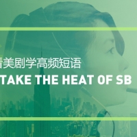 看绝望的主妇学高频短语：Take the heat off sb