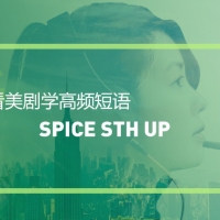 看绝望的主妇学高频短语：Spice sth up
