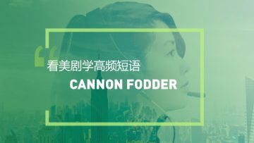 看美剧学地道表达：Cannon Fodder