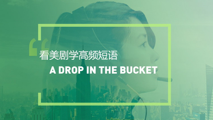 看美剧学英语高频短语表达：A drop in the bucket
